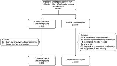 Relationship between lipoprotein(a) and colorectal cancer among inpatients: a retrospective study